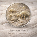 Mite Zero™ UV Clean